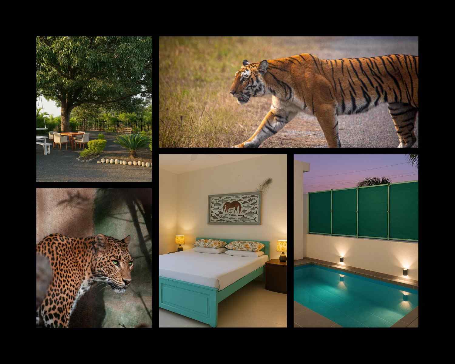 Tiger Safari Lodge